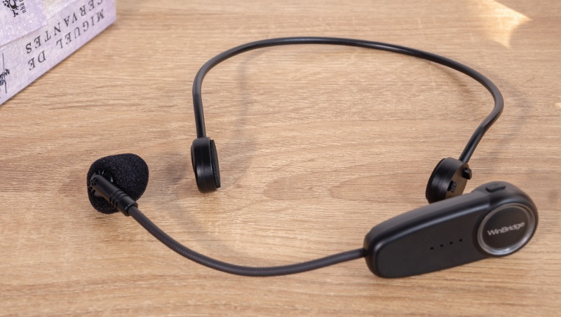 thiết kế micro wbs10