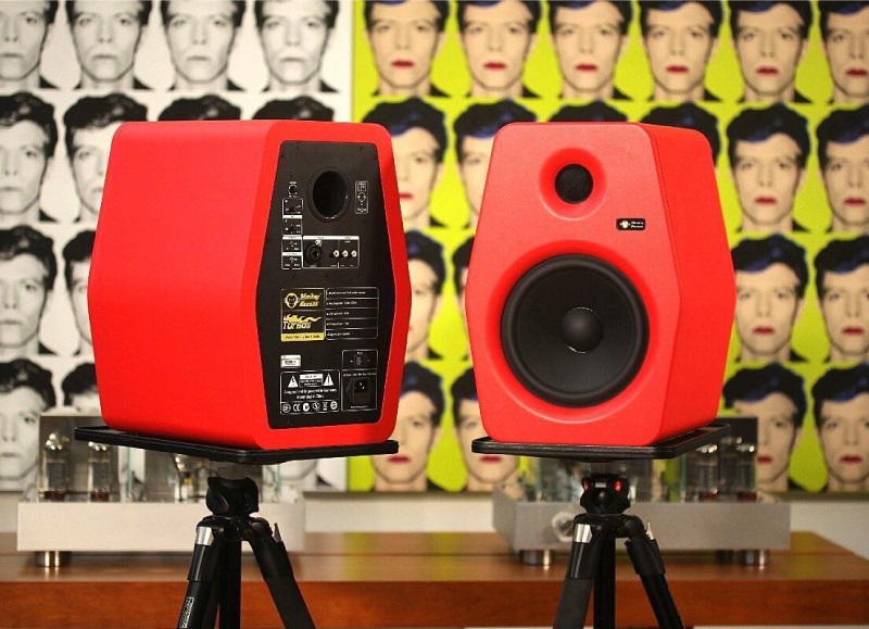 thiết kế nổi bật của loa kiểm âm monkey-banana turbo 8