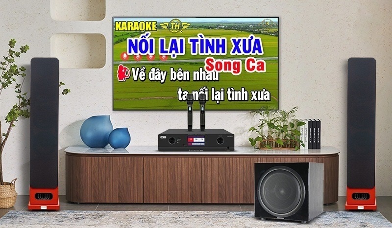top dàn karaoke lavip 6