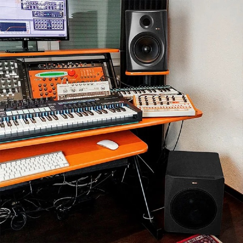 ứng dụng của loa kiểm âm monkey banana gibbon 10