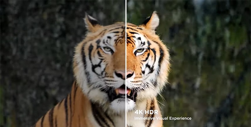 Máy chiếu ViewSonic X11-4KP chất lượng hình ảnh