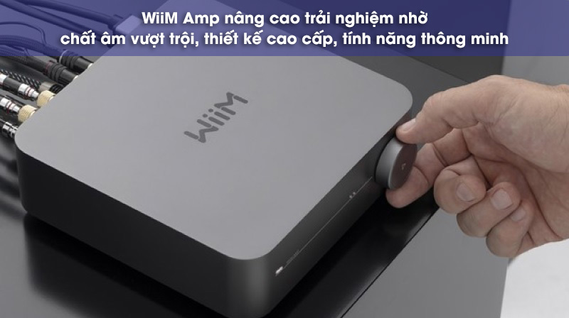 wiim amp giá