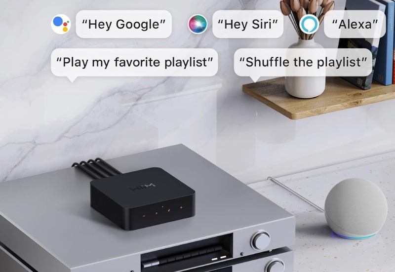 wiim pro plus trợ lý ảo