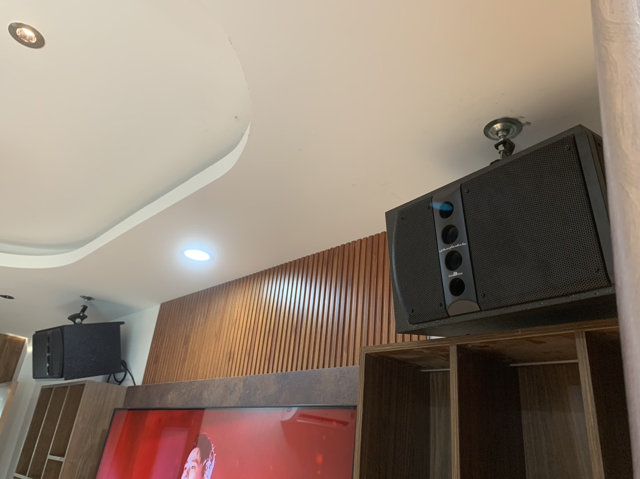 chất âm loa Whafedale Pro 5090