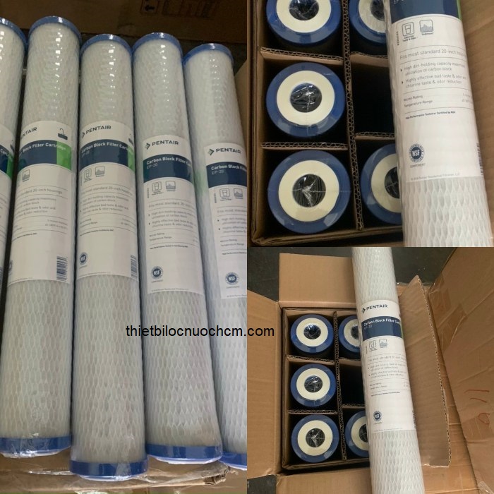 loi-loc-than-ep-10-inch-gia-re-chinh-hang-truong-thinh