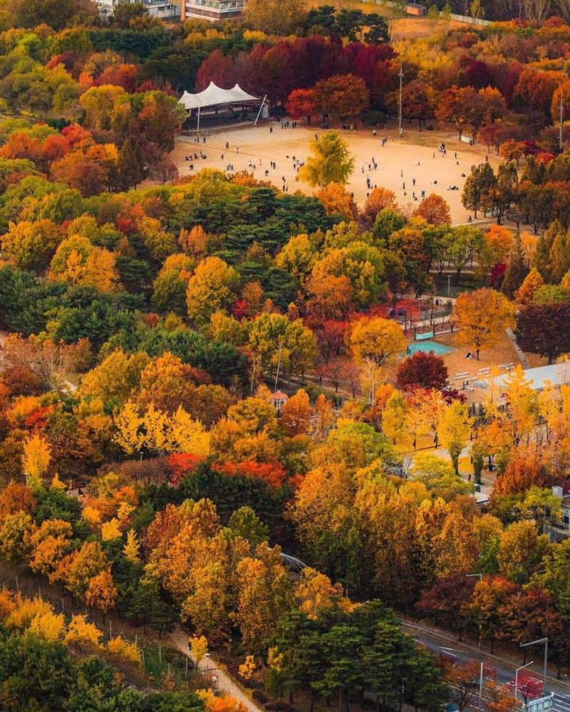 5 điểm ngắm lá vàng mùa thu gần trung tâm Seoul 2