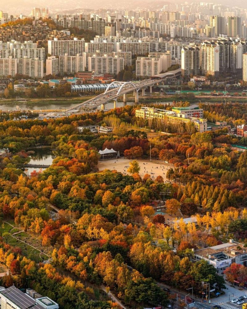 5 điểm ngắm lá vàng mùa thu gần trung tâm Seoul 3