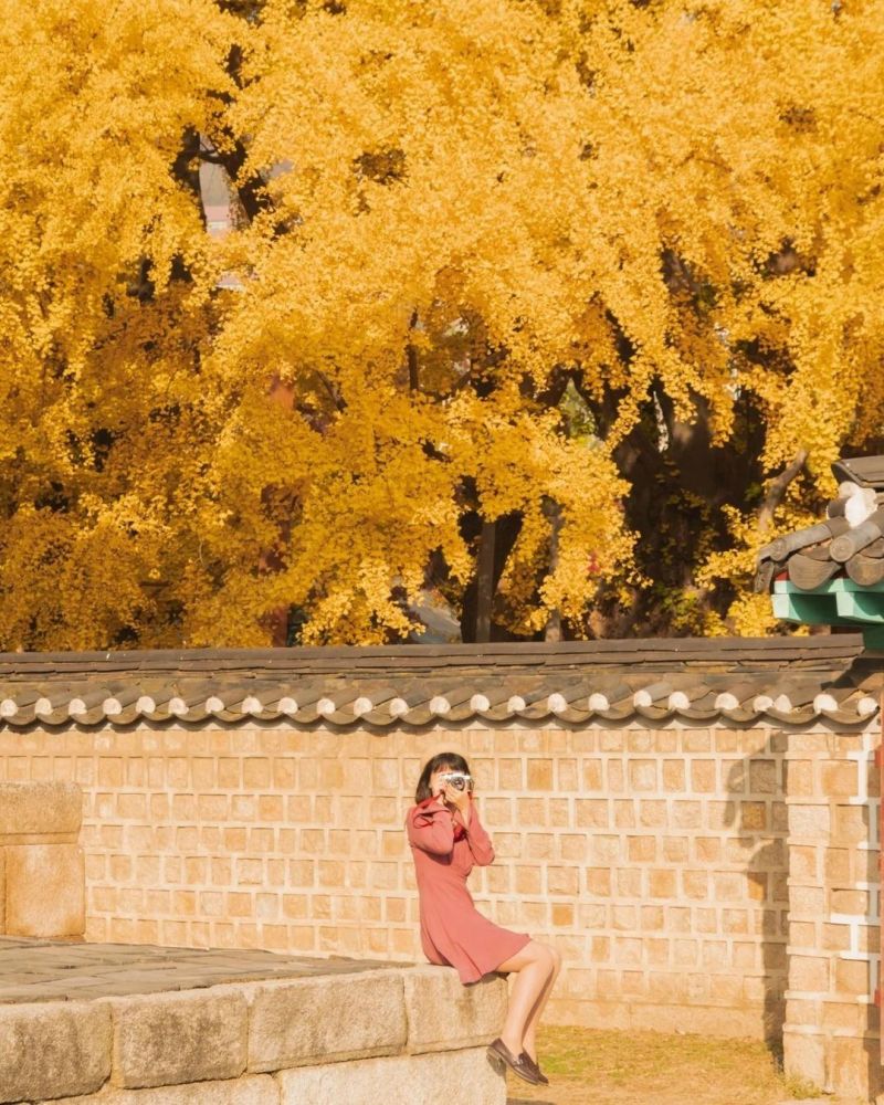 5 điểm ngắm lá vàng mùa thu gần trung tâm Seoul 7