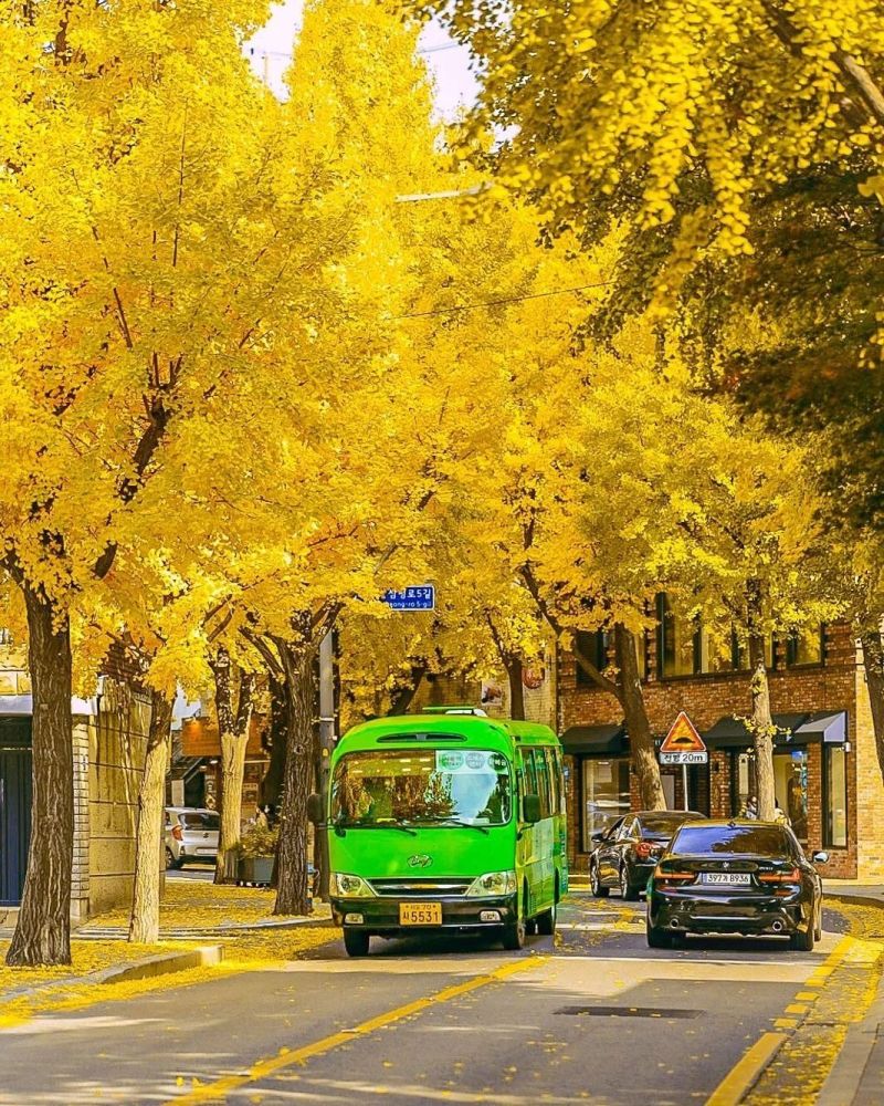 5 điểm ngắm lá vàng mùa thu gần trung tâm Seoul 9