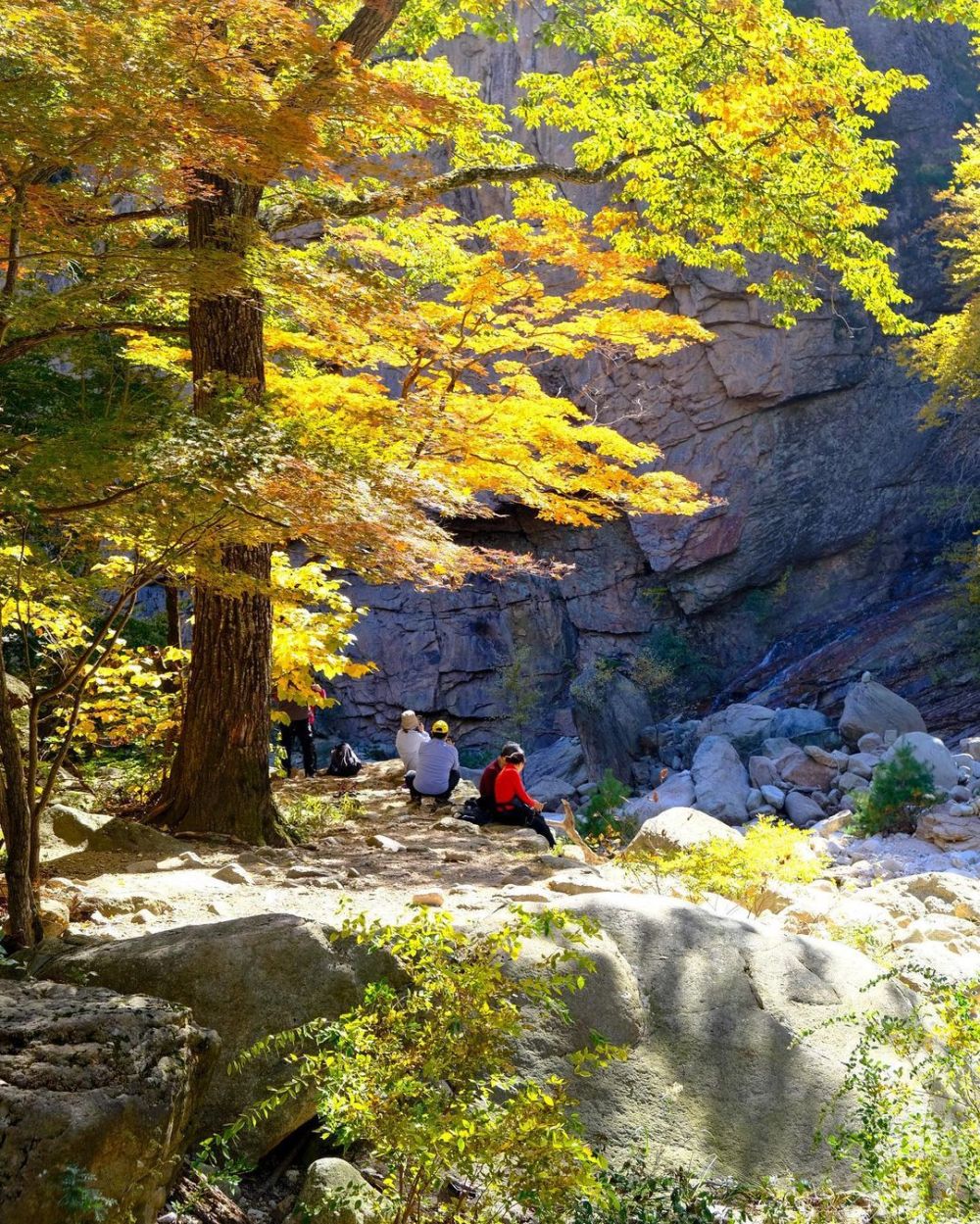 6 địa điểm tận hưởng mùa thu lãng mạn ở Hàn Quốc 4