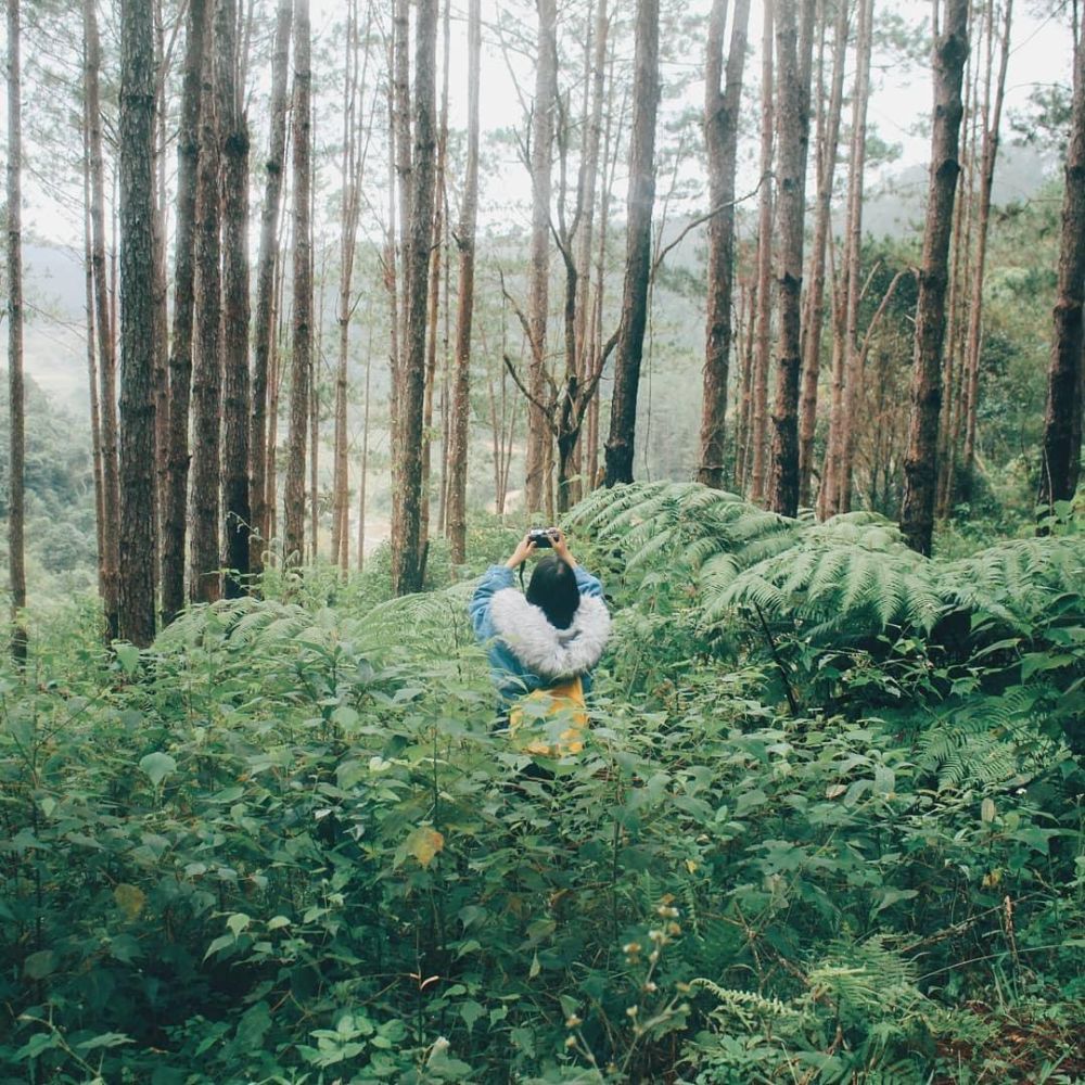 6 điểm du lịch mới nổi trong nước cho dịp lễ 7