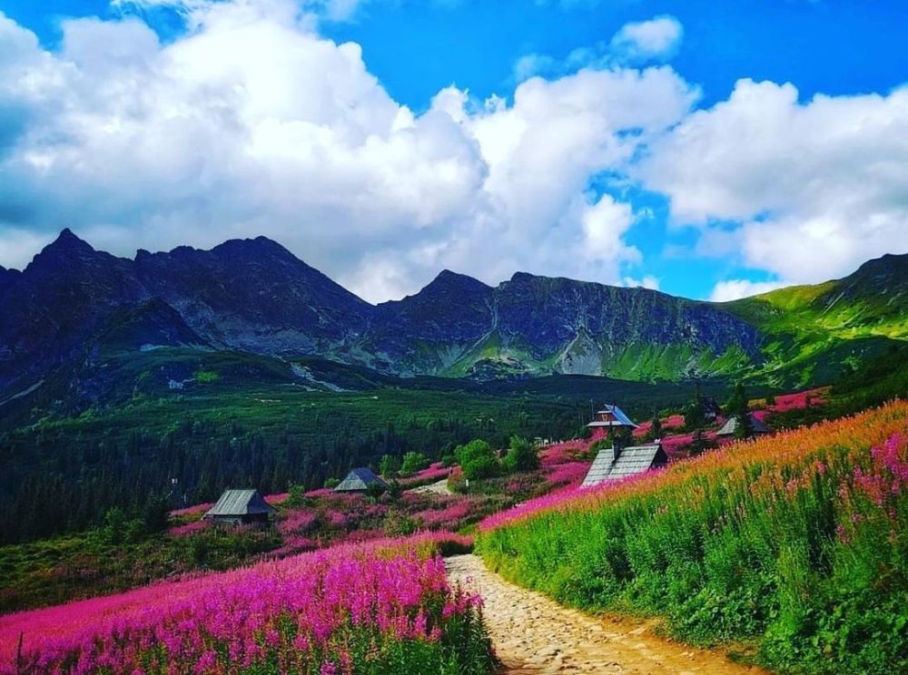 6 điểm ngắm hoa ít người biết ở châu Âu 1