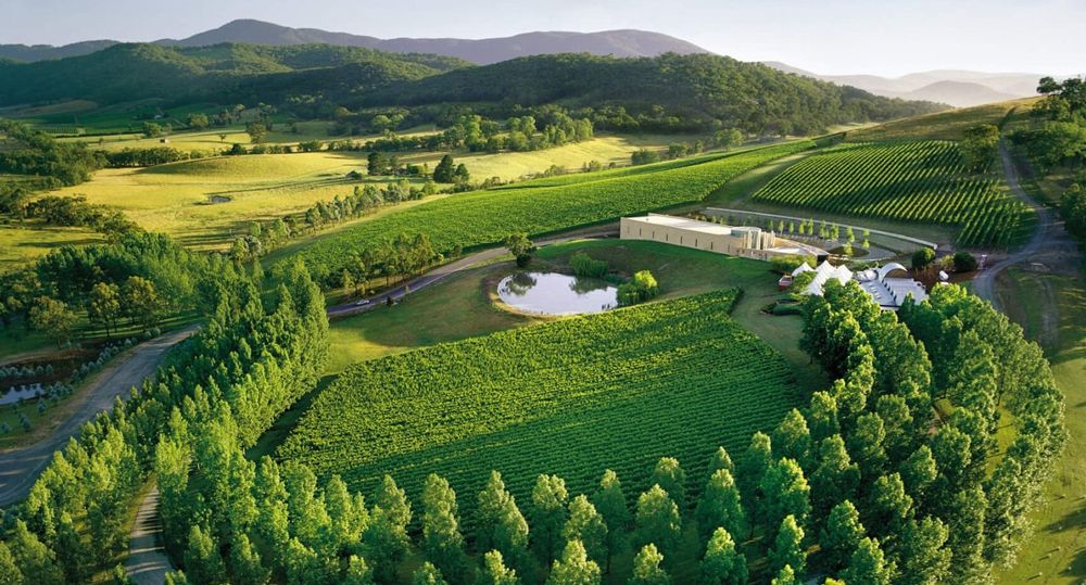 6 nhà máy rượu vang gần Melbourne 1