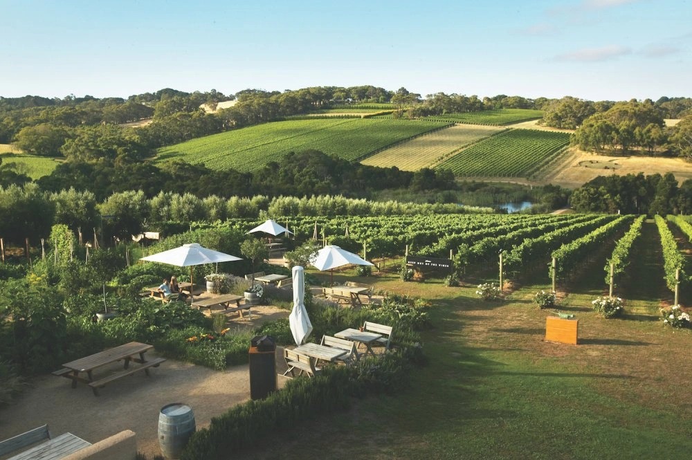 6 nhà máy rượu vang gần Melbourne 5