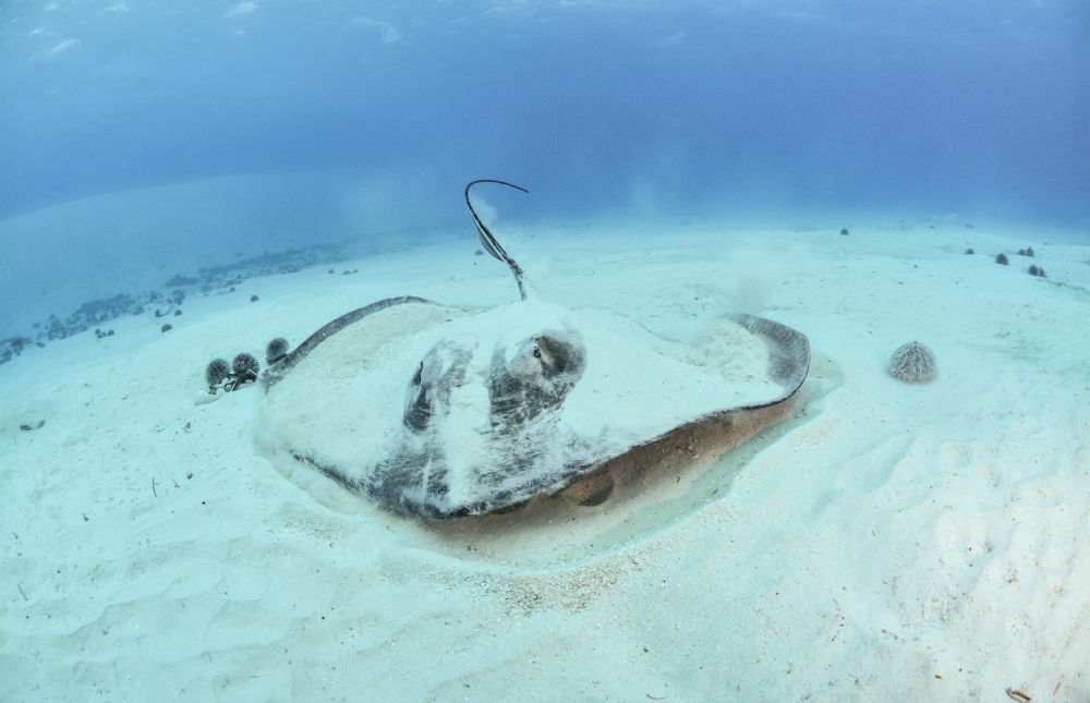 7 điểm du lịch nguy hiểm nhất ở Mỹ 4