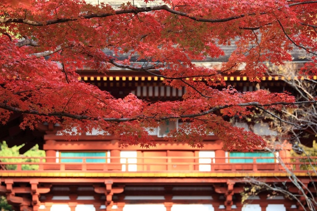 7 điểm ngắm lá vàng đẹp nhất thế giới 1