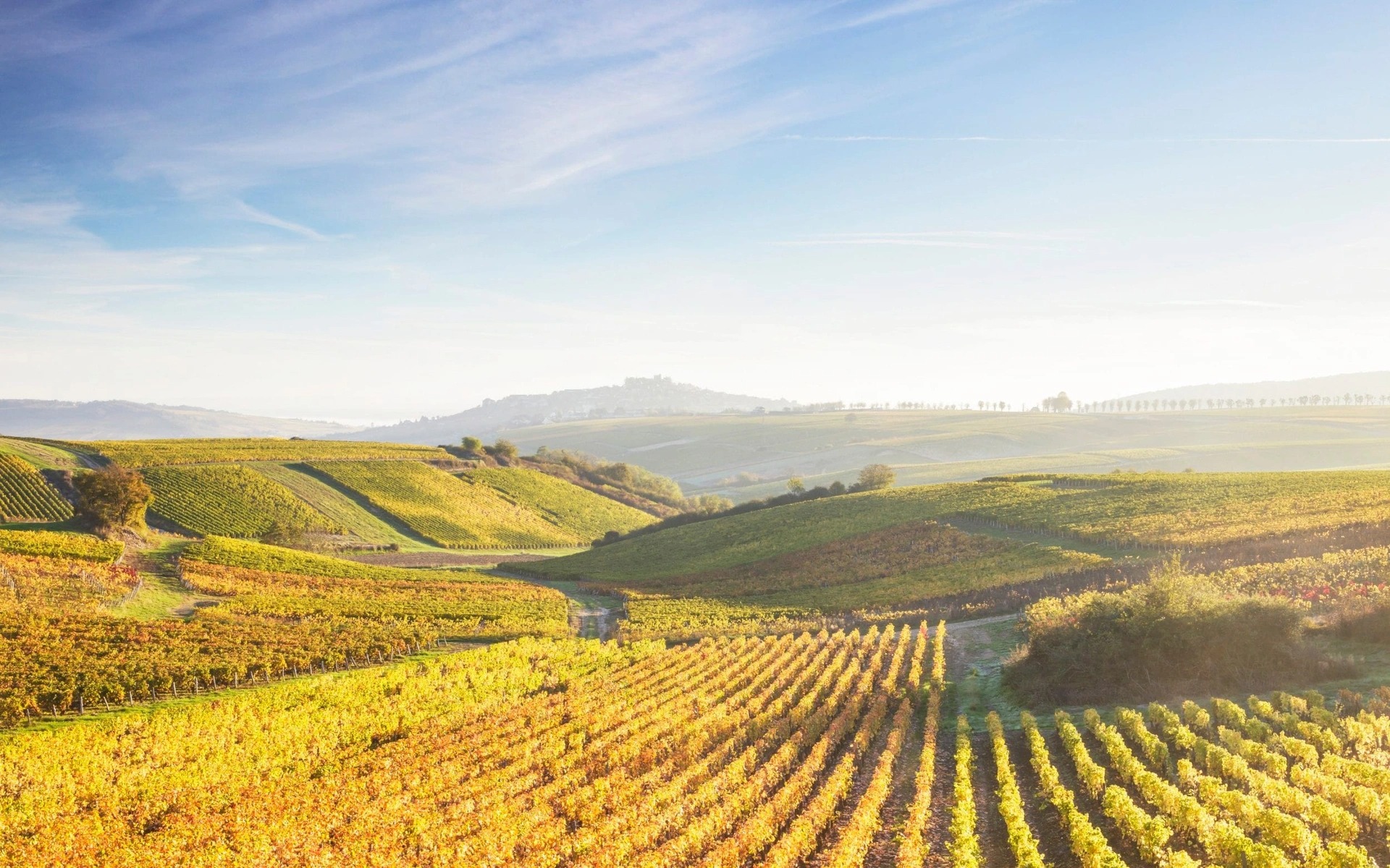 7 điểm ngắm lá vàng đẹp nhất thế giới 4