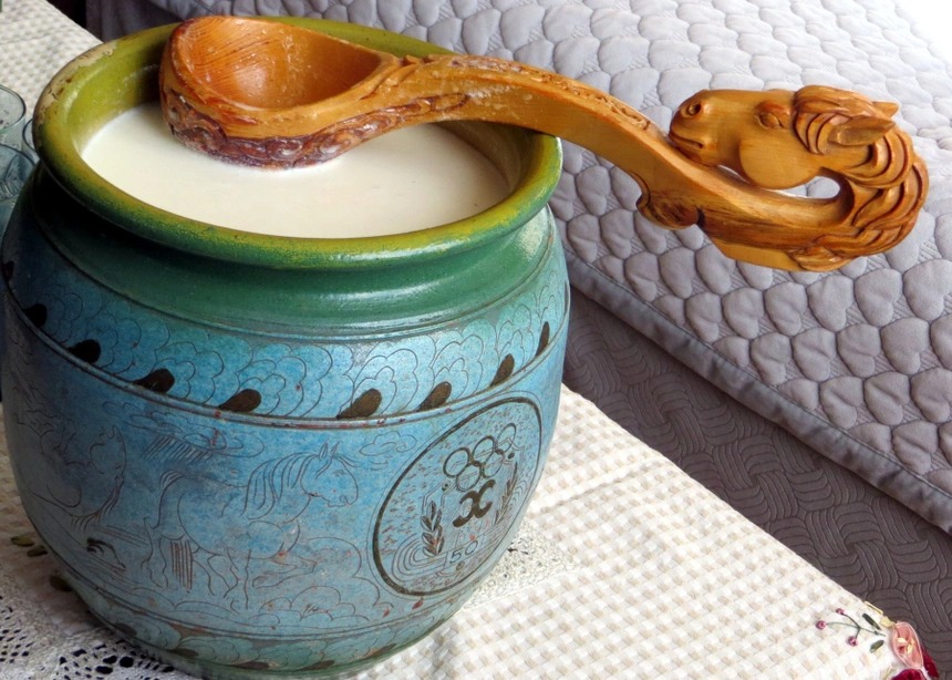 7 trải nghiệm du lịch chỉ có ở Mông Cổ 5