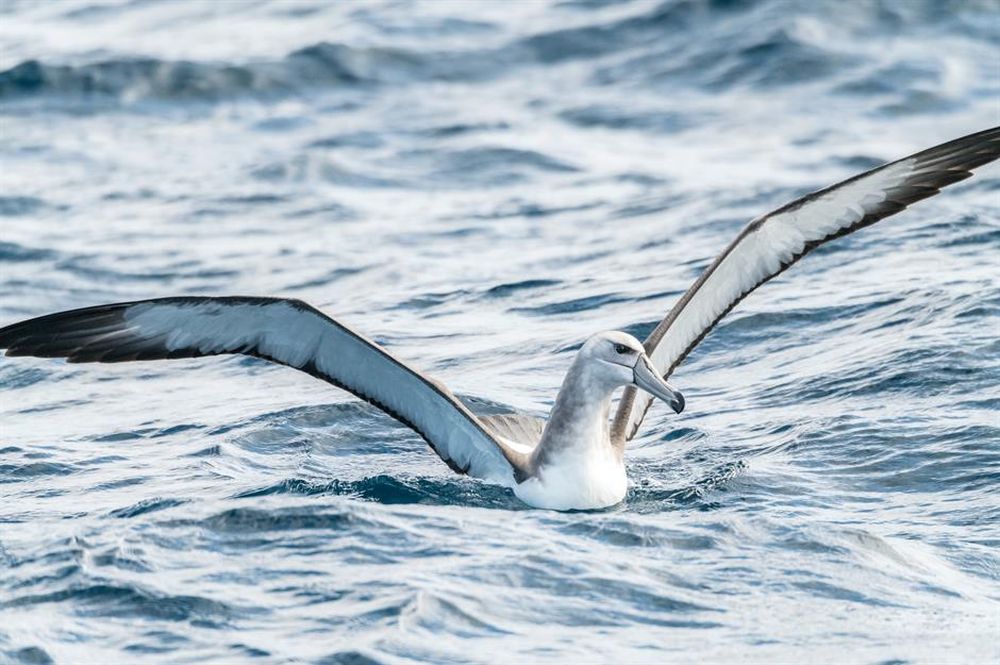 8 nơi cấm khách du lịch ở Australia 7