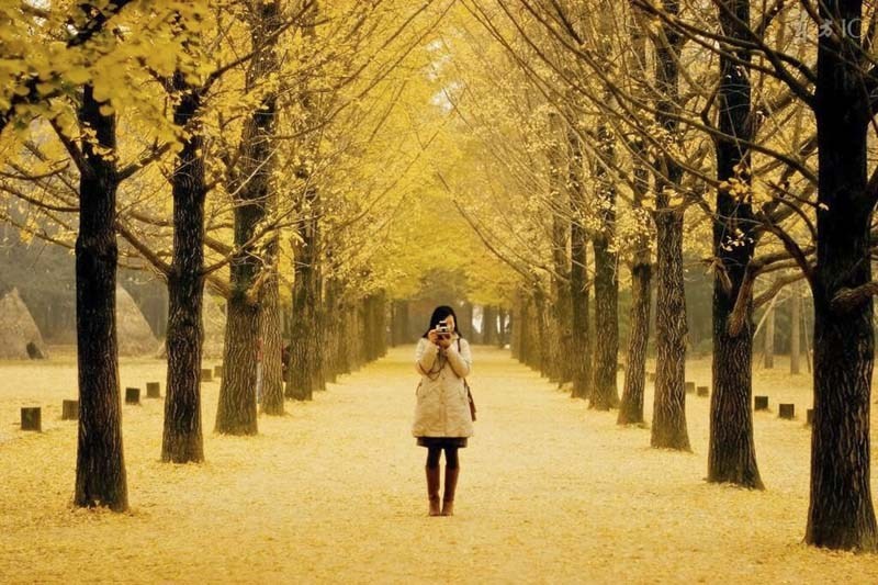 9 điểm tham quan hấp dẫn ở Hàn Quốc vào mùa thu 3