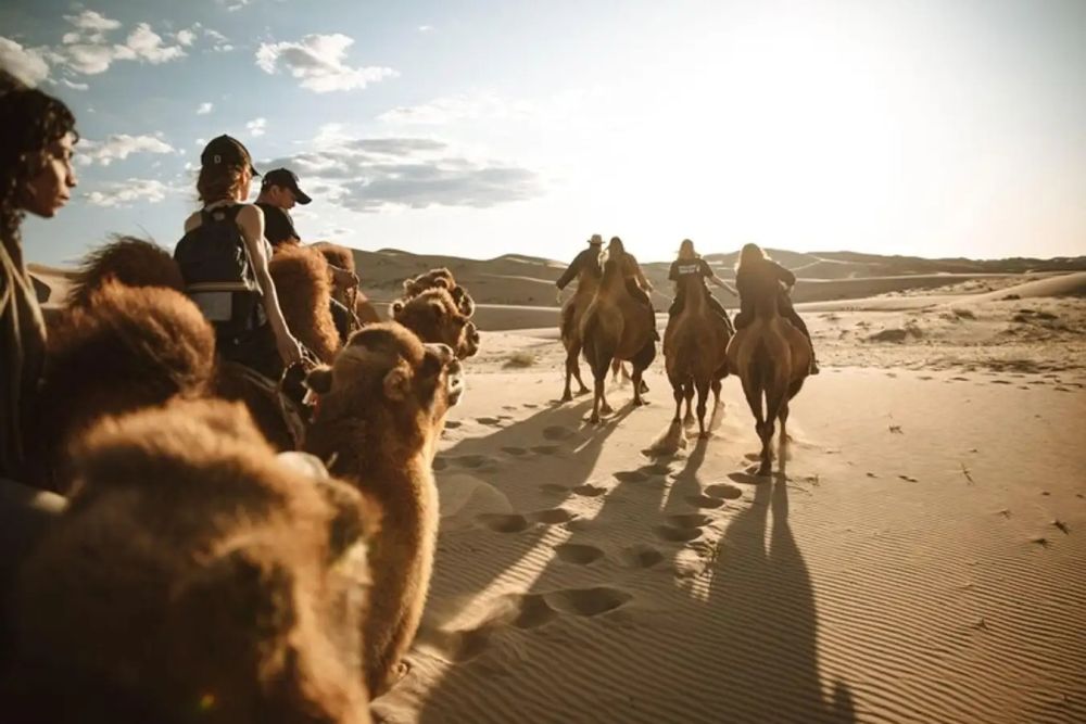 Bỏ túi kinh nghiệm du lịch Mông Cổ 8