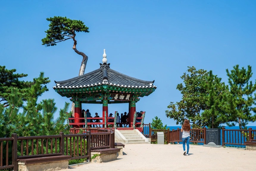 Bo tui loat diem den hap dan o Seoul, Gangwon 13