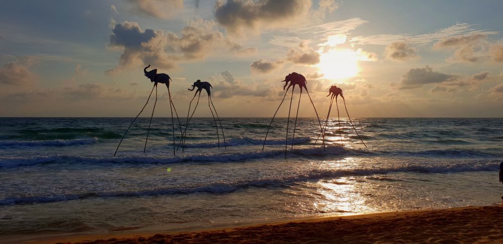 Cẩm nang du lịch Phú Quốc 2023 Phần 1 10