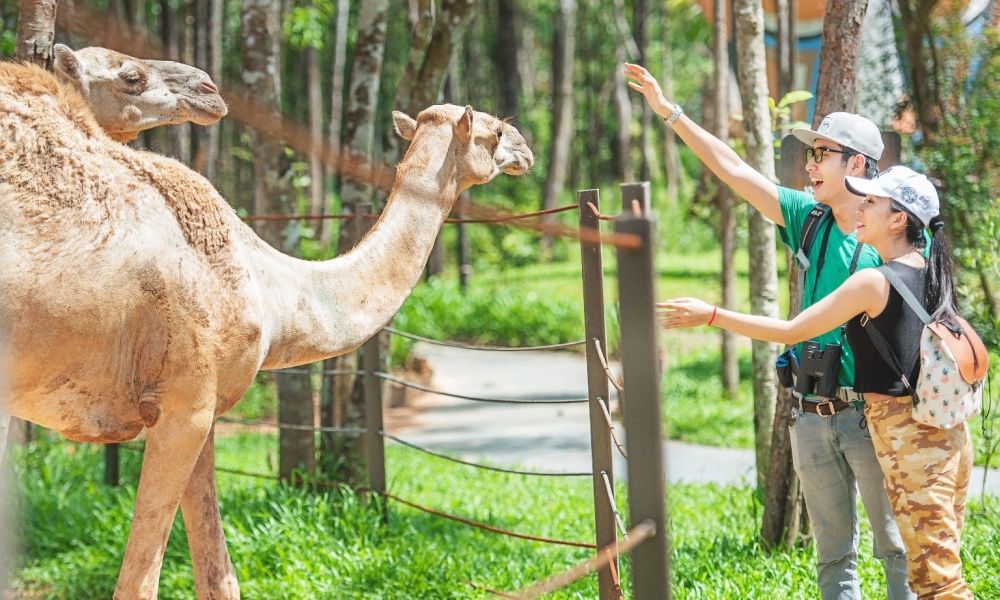 Cẩm nang du lịch Phú Quốc 2023 Phần 1 7