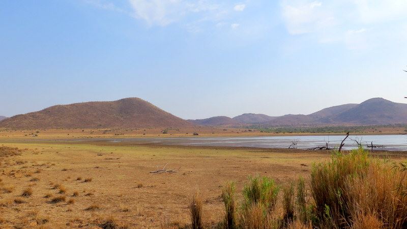 Chiêm ngưỡng Big Five ở vườn quốc gia Nam Phi - Pilanesberg Safari ảnh 14
