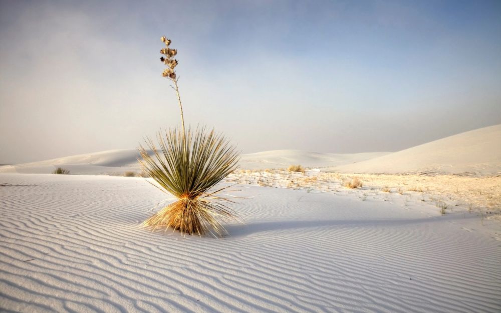 Chiêm ngưỡng những phong cảnh thiên nhiên hùng vĩ 4