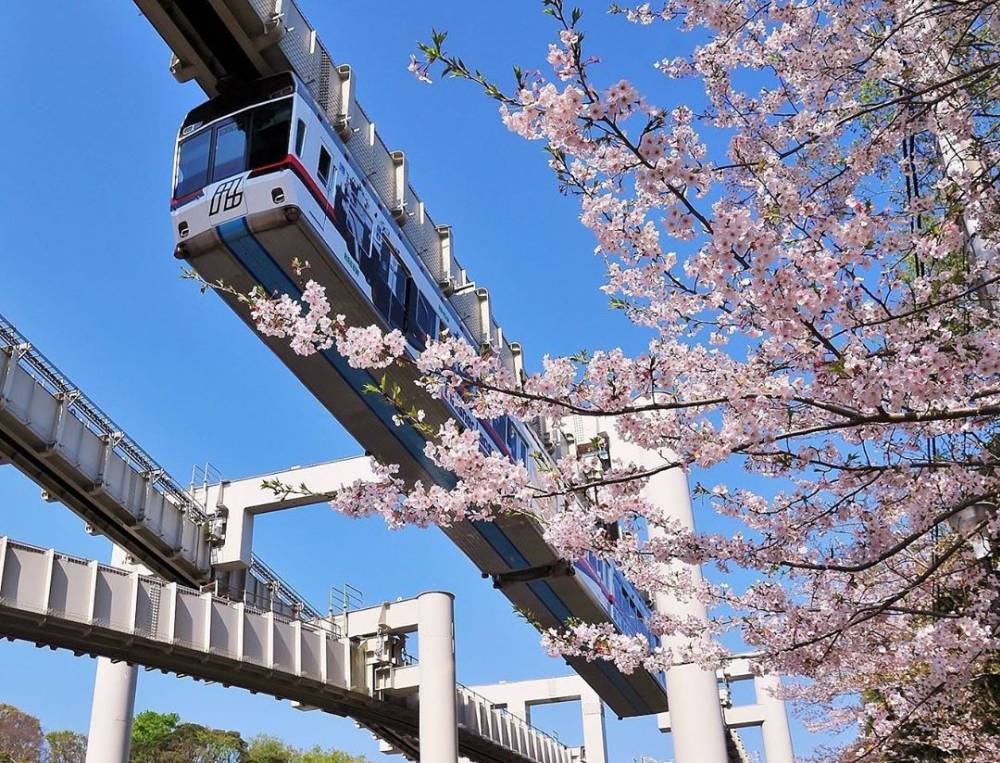 Choáng váng với đoàn tàu treo ngược dài nhất thế giới ở Nhật Bản ảnh 1