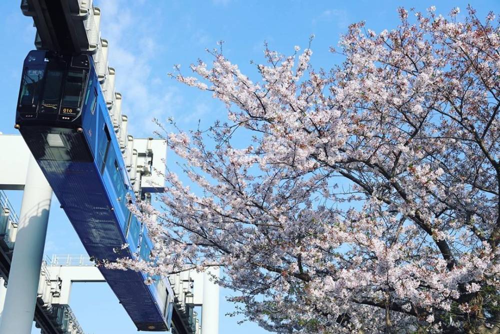 Choáng váng với đoàn tàu treo ngược dài nhất thế giới ở Nhật Bản ảnh 10