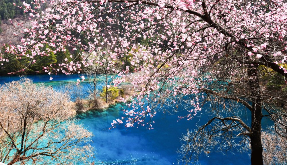 Du lịch Cửu Trại Câu 2023