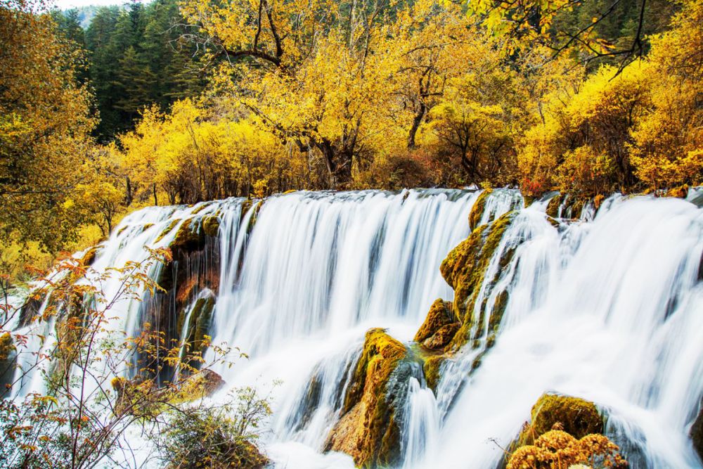 Cửu Trại Câu - Xứ sở thần tiên có thật ở hạ giới 11