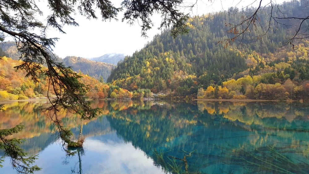 Cửu Trại Câu - Xứ sở thần tiên có thật ở hạ giới 16