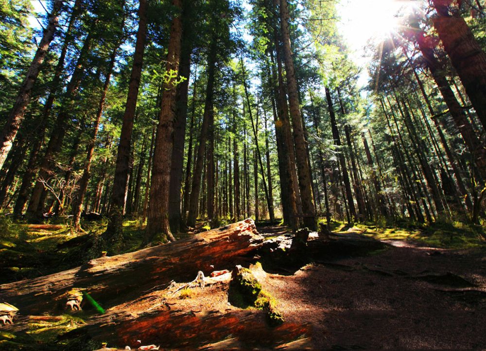 Cửu Trại Câu - Xứ sở thần tiên có thật ở hạ giới 17