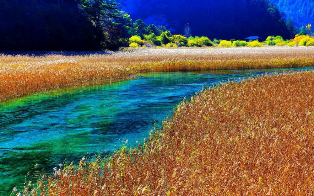 Cửu Trại Câu - Xứ sở thần tiên có thật ở hạ giới 3