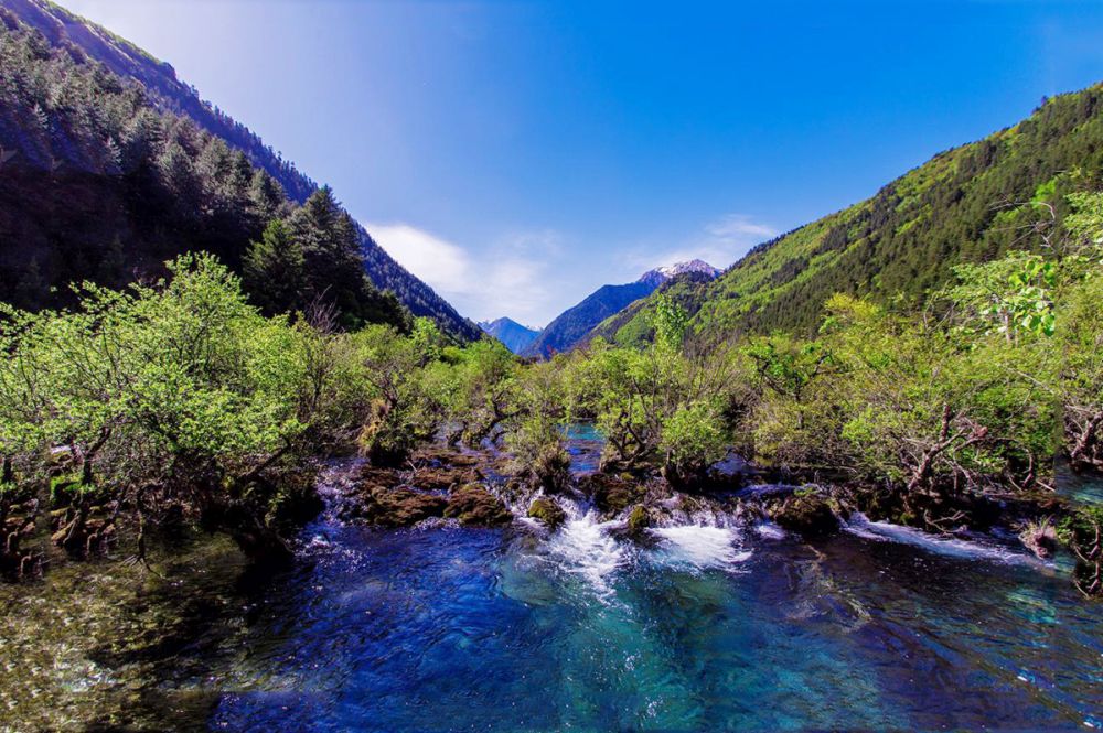 Cửu Trại Câu - Xứ sở thần tiên có thật ở hạ giới 6