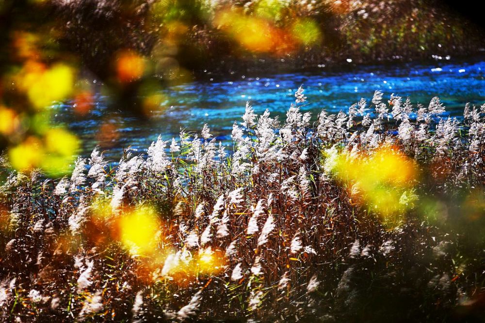 Cửu Trại Câu - Xứ sở thần tiên có thật ở hạ giới 7