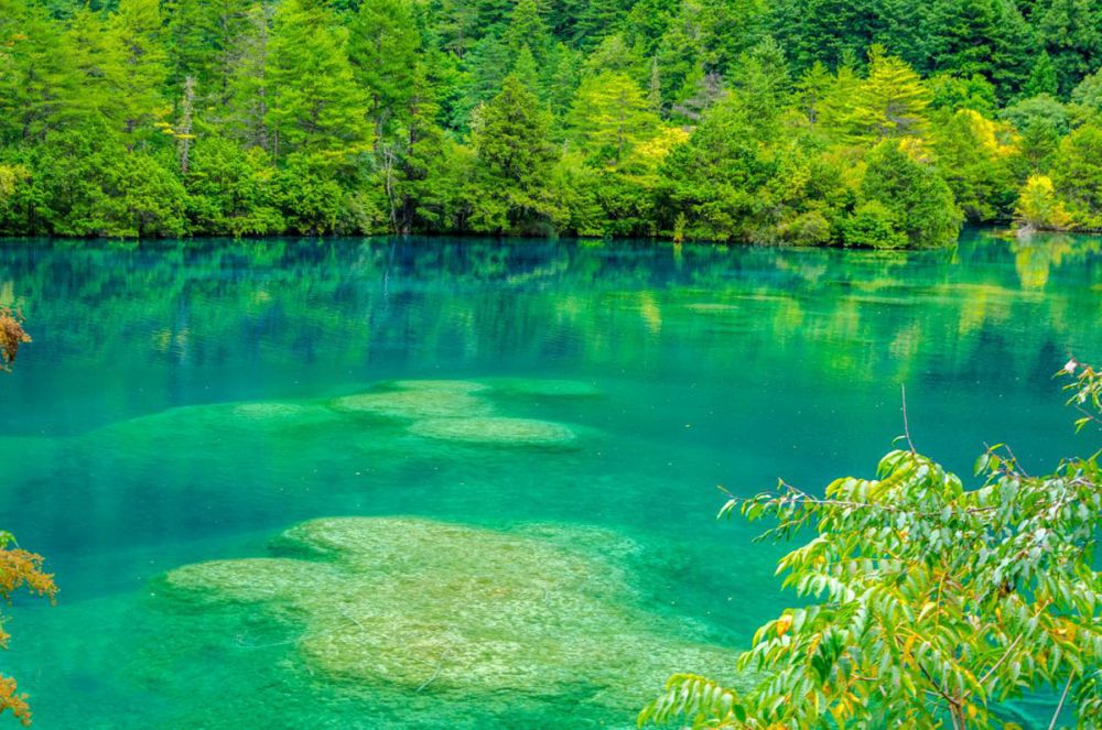 Cửu Trại Câu - Xứ sở thần tiên có thật ở hạ giới 8