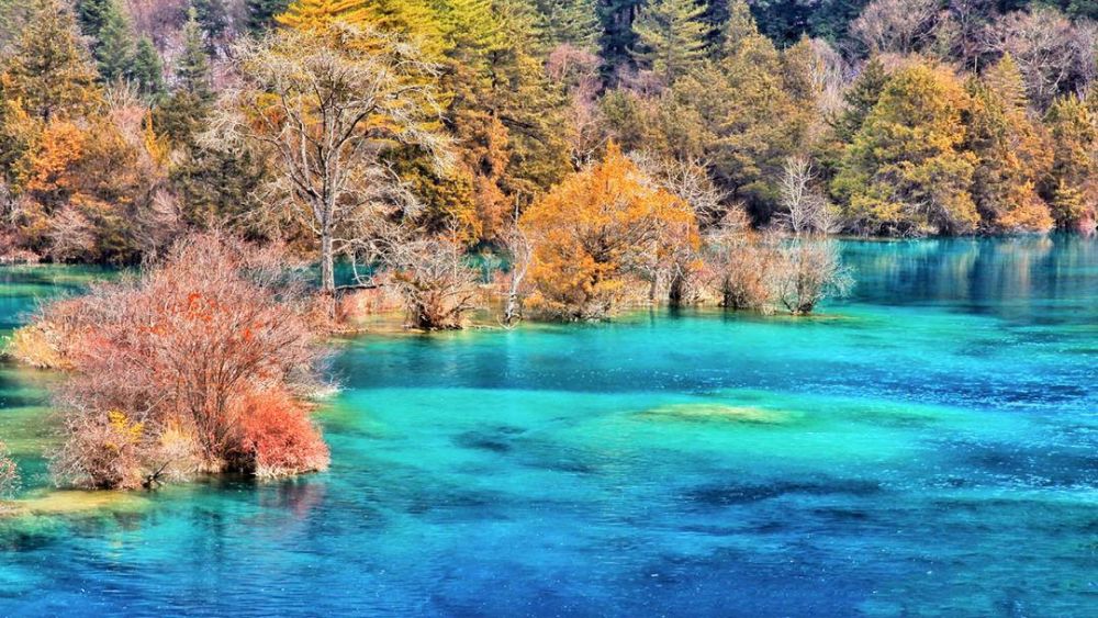 Cửu Trại Câu - Xứ sở thần tiên có thật ở hạ giới 9