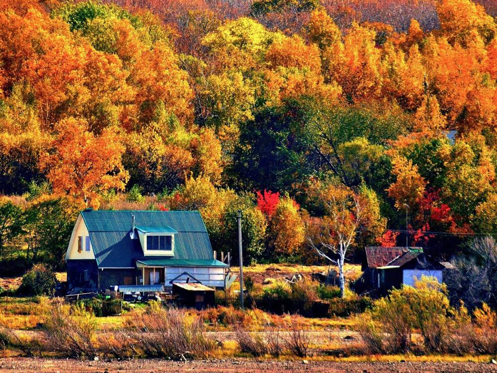 Đắm say sắc thu vàng lá đỏ rực rỡ ở xứ sở Bạch Dương ảnh 1