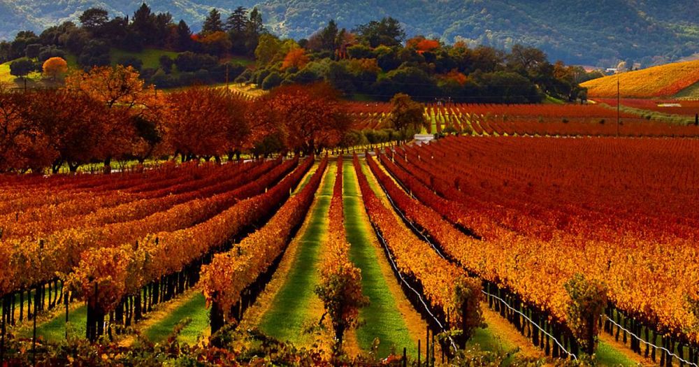 Danh sách những điểm đến lý tưởng cho chuyến du ngoạn bằng khinh khí cầu 2