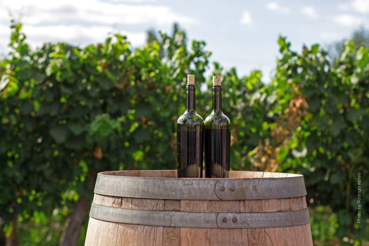 Đất nước nhỏ nhất thế giới là địa điểm du lịch nổi tiếng 4