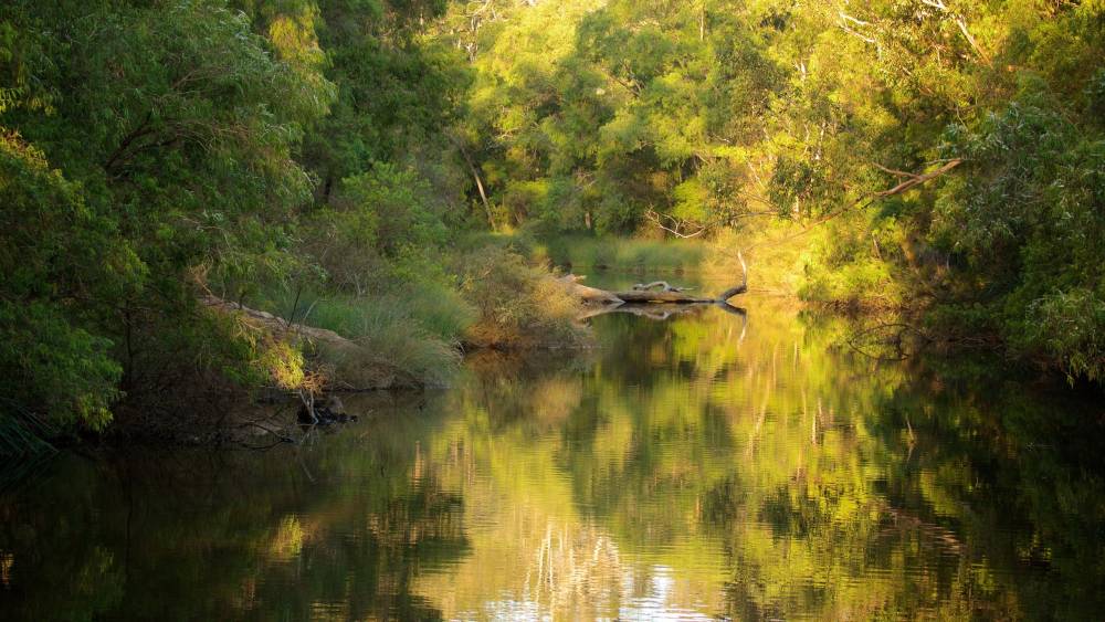 Đến Úc vào tháng 6 và những điều bạn nên biết - Ảnh 11