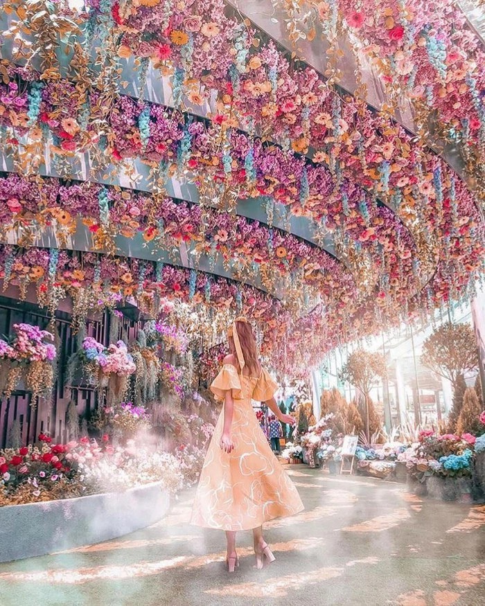 Đi đâu chơi ở Singapore để khám phá hết nhưng điểm đến sắc màu 7