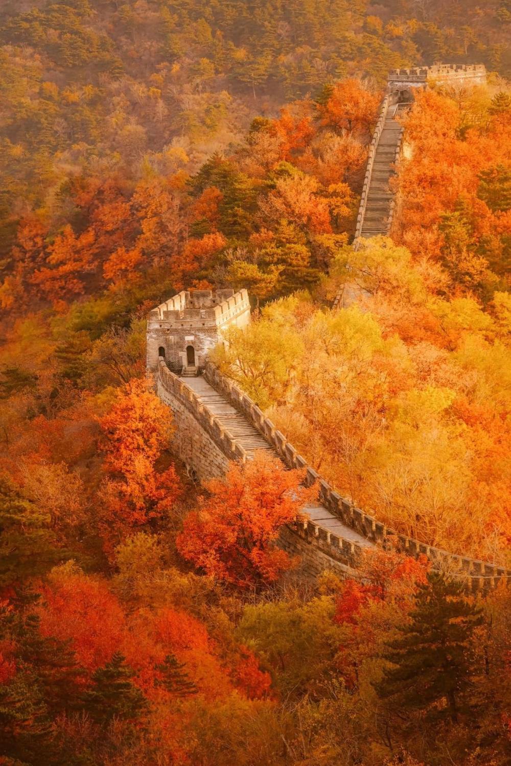 Địa điểm ngắm mùa thu ở châu Á tuyệt đẹp - Ảnh 2