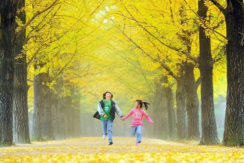 Địa điểm ngắm mùa thu ở châu Á tuyệt đẹp - Ảnh 4