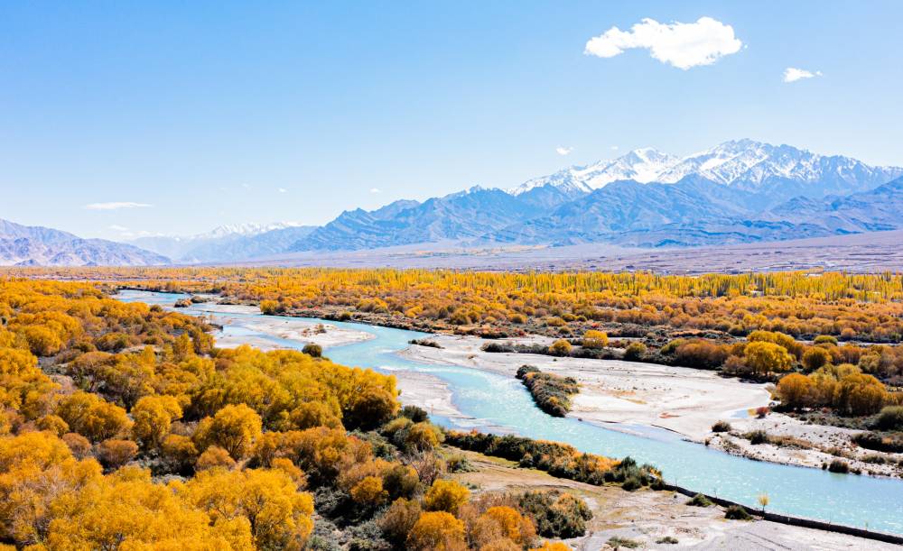 Địa điểm ngắm mùa thu ở châu Á tuyệt đẹp - Ảnh 6