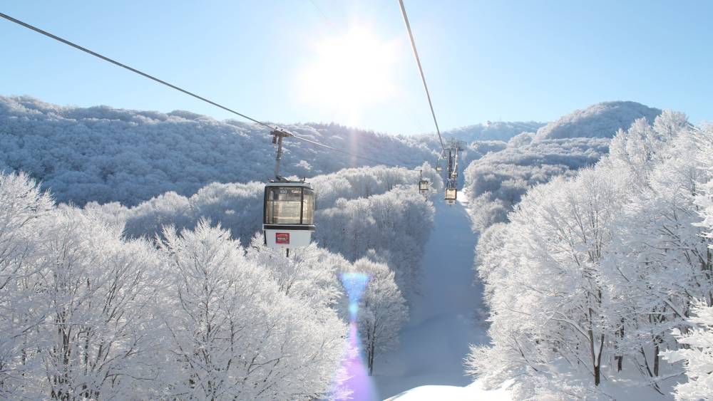 Khu nghỉ dưỡng trượt tuyết Nozawa Onsen,Nagano 1